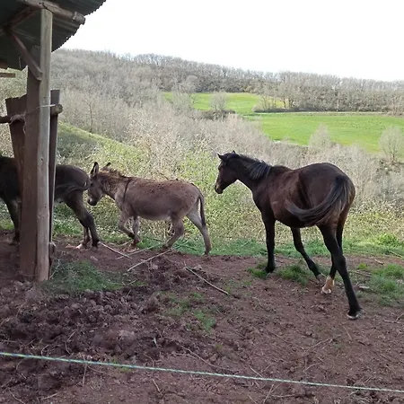 Gite Des Monts بيت ضيافة Saint-Izaire