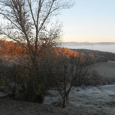Gite Des Monts Saint-Izaire