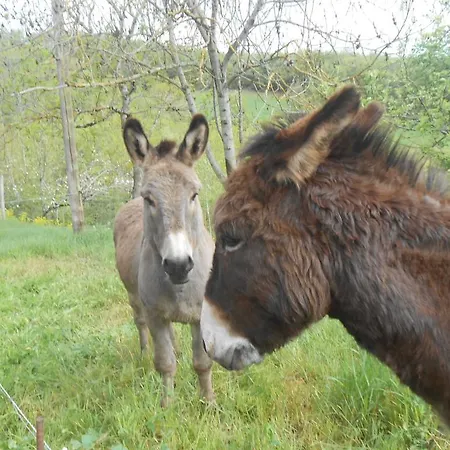 Gite Des Monts Saint-Izaire