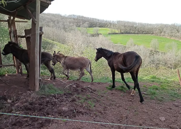Des Monts Pensión Saint-Izaire