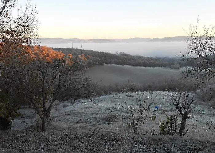 Pensión Des Monts 3*
