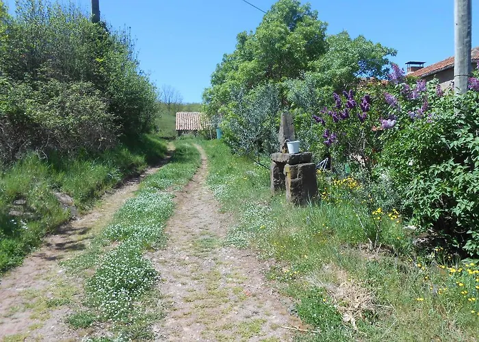 Pensión Des Monts 3*