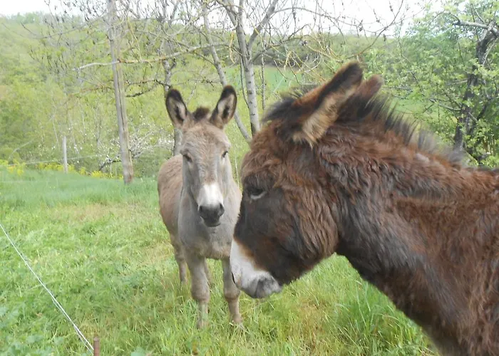 Des Monts Saint-Izaire