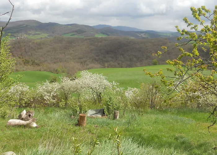 Pensión Des Monts Saint-Izaire