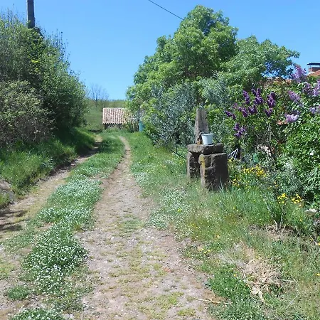 Гостевой дом Des Monts *