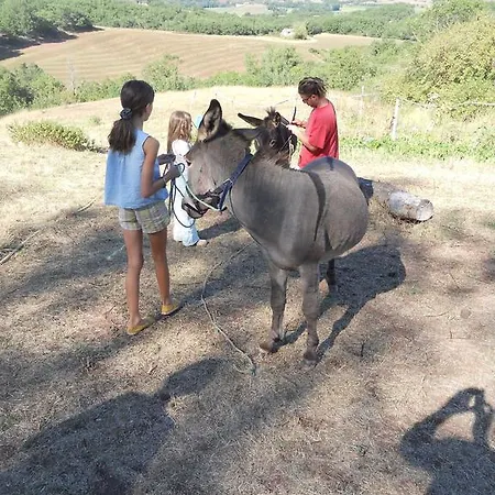 בית הארחה Des Monts