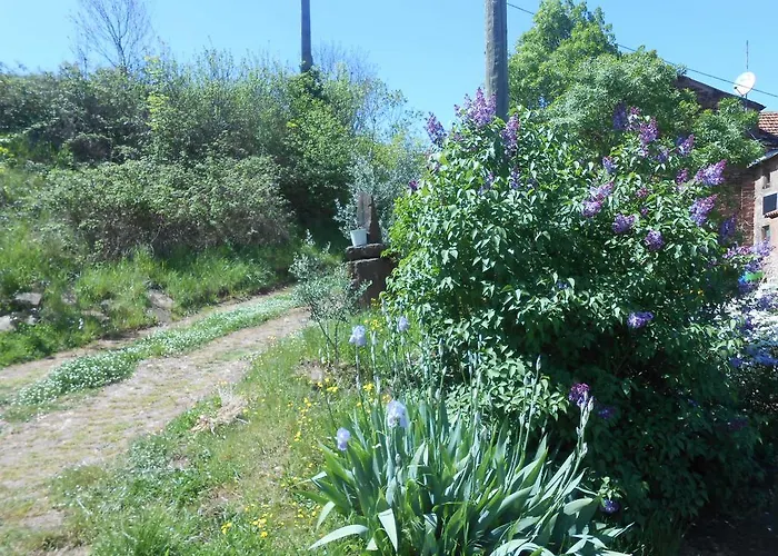 ゲストハウス Des Monts Saint-Izaire